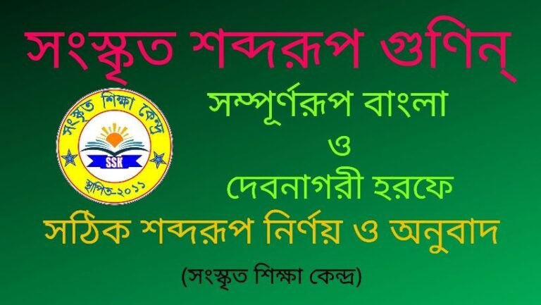 সংস্কৃত শব্দরূপ গুণিন্