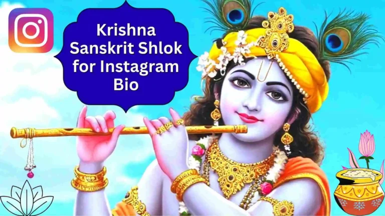 Krishna Sanskrit Shlok for Instagram Bio